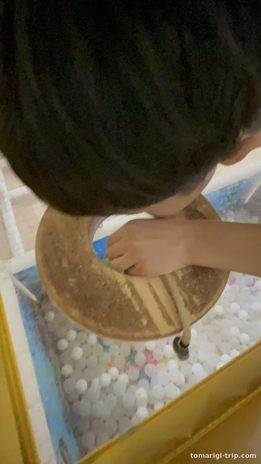 ボールプールの中には魚のおもちゃ。磁石の釣り竿ですくう「魚釣り遊び」に下の子がハマっていました