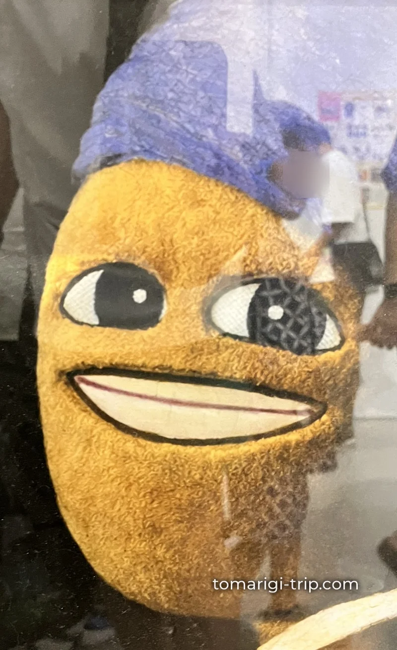 羊毛フェルトで作られたキャラクター作品。細部まですごい完成度でした