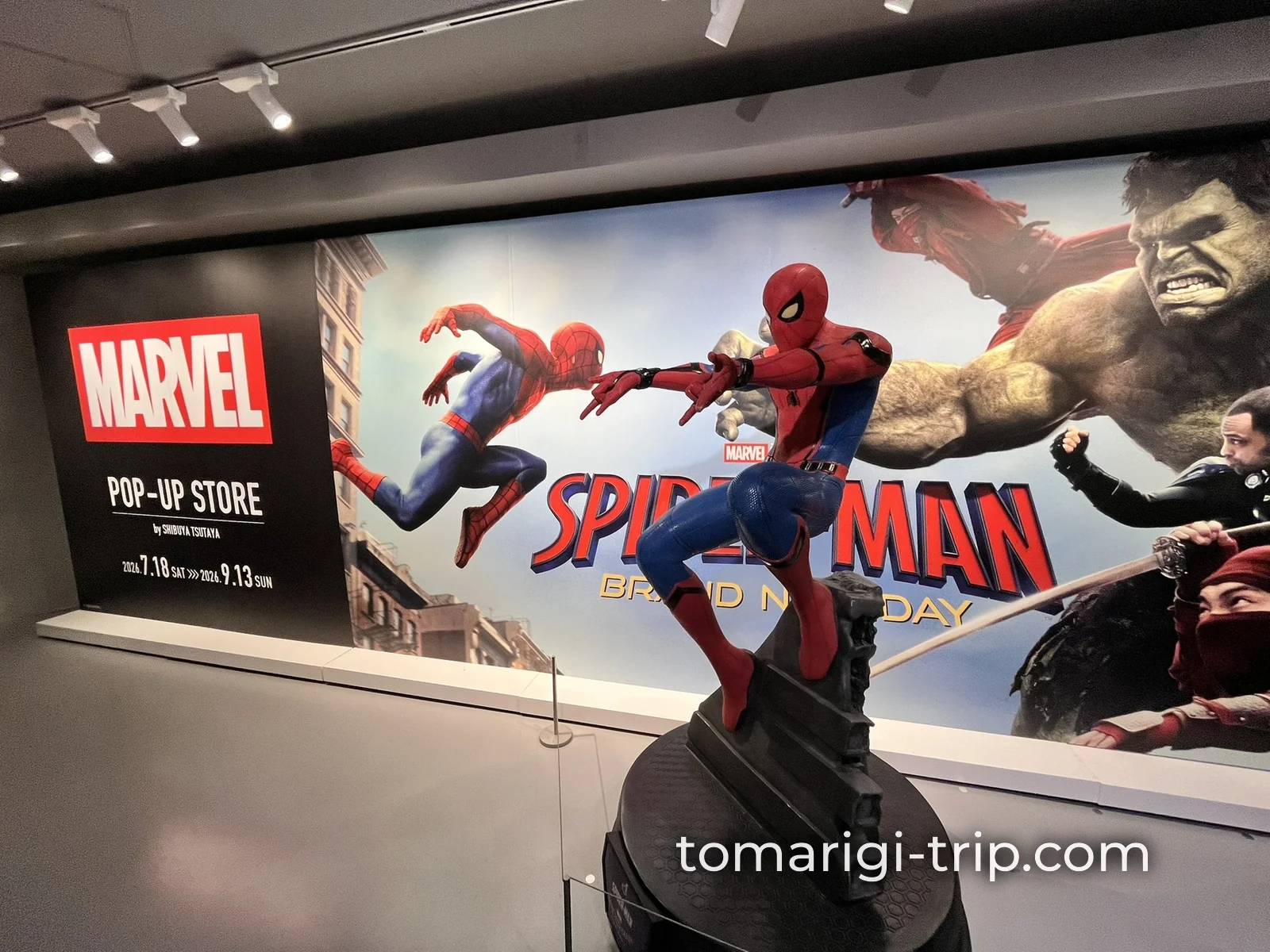 壁一面のマーベルビジュアル。これだけでも見に行く価値があります